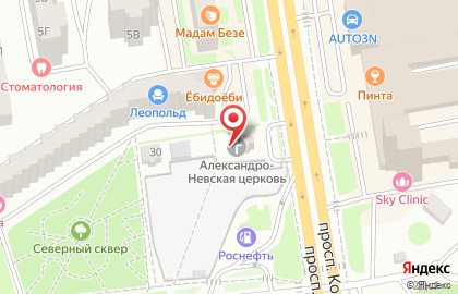 Приход храма Александра Невского на проспекте Космонавтов на карте