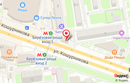 Ваш питомец на улице Кошурникова на карте