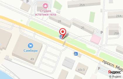 Цветочный салон во Владивостоке на карте