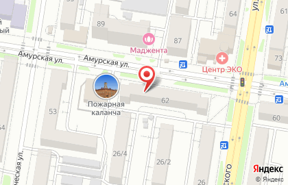 Клуб любителей кошек Город кошек на карте