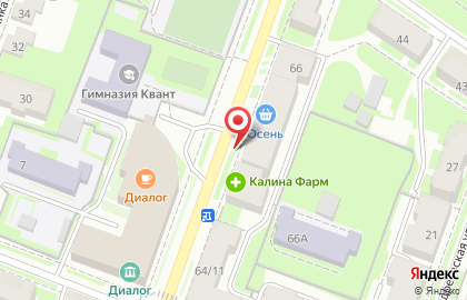 Аптека Калина Фарм на Большой Московской улице, 66 на карте