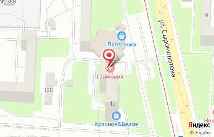 Продуктовый магазин Курико на улице Сыромолотова на карте