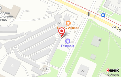 Компания ExpressZap.ru на улице Пушкина на карте