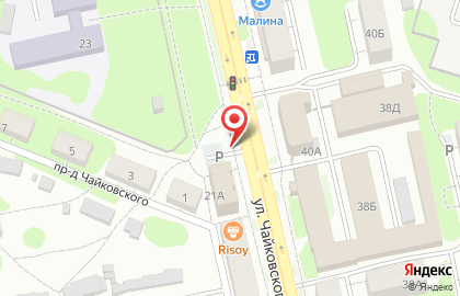 Салон Много цветов на улице Чайковского на карте