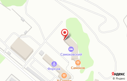 Гостиница Самоковская на карте