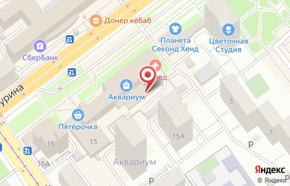 Аврора на улице Мичурина на карте