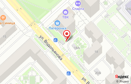 Магазин женской одежды больших размеров Икс-Леди на улице Водопьянова на карте