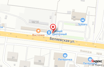 Магазин садовой техники в Оренбурге на карте