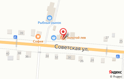 Продуктовый магазин Золотой лев на карте