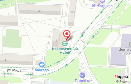 Альметьевский краеведческий музей на карте