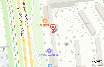 Компания Кусты Сугробы на карте