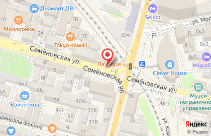 Аптека Домиана на Семёновской улице на карте