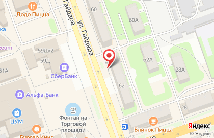 Сеть магазинов зоотоваров, ИП Селезнева В.И. на улице Гайдара на карте