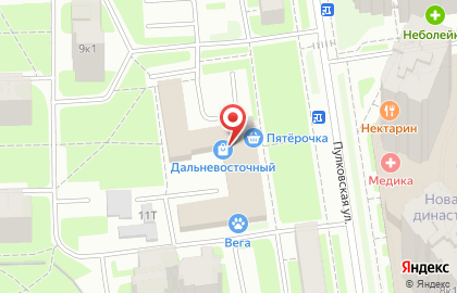Нетто на Пулковской улице на карте