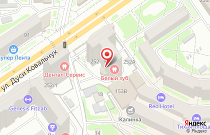 ЗооВетеринарный Центр Хатико на улице Дуси Ковальчук на карте