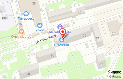 Магазин сантехники Осьминог в Новоильинском районе на карте