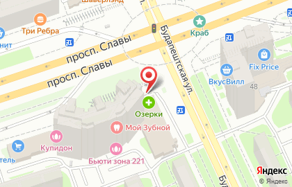 Магазин оптики Озерки в Фрунзенском районе на карте