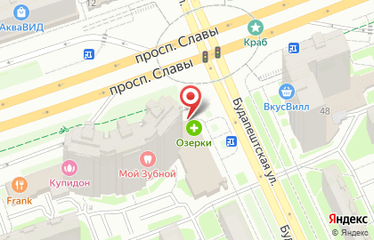 Аптека Озерки в Санкт-Петербурге на карте