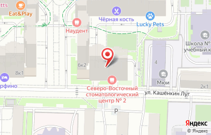 Novolaser на карте