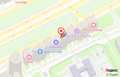Альфа-банк на Дунайском проспекте на карте