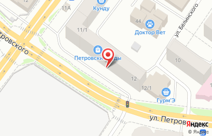 Магазин зоотоваров на улице Петровского на карте