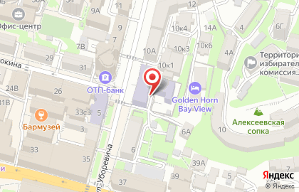 Гимназия №1 во Владивостоке на карте