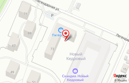 Строящийся жилой дом Скандиа.новосибирск на карте