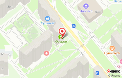Аптека Озерки в Санкт-Петербурге на карте