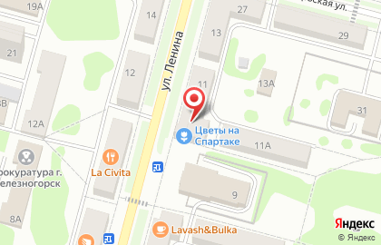 Мастер Оптика, ИП Ильин Д.В. на улице Ленина на карте