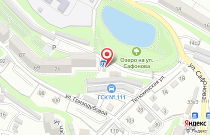 Продуктовый магазин Солнышко на улице Гризодубовой на карте