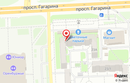 Медицинский центр Елизавета на проспекте Гагарина на карте