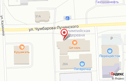 Зоомагазин Белый клык на Калинина на карте
