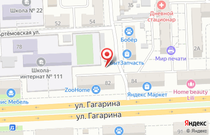 Профессор на улице Гагарина на карте