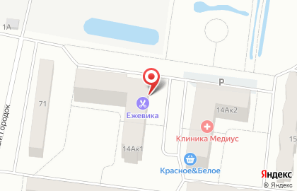 Магазин канцелярских товаров Незнайка на карте
