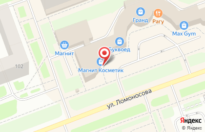 Магазин цифровой и бытовой техники DNS на улице Ломоносова на карте