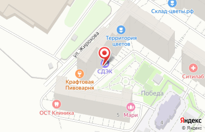 Служба доставки и логистики Сдэк на улице Жирохова на карте