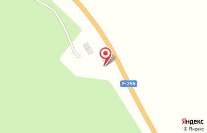 Ёлки зелёные на карте