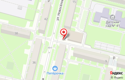 Товары для животных на улице Новосёлов на карте