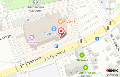 Офис продаж Билайн на улице Пушкина на карте