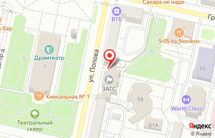 Свадебное агентство Аэлита на улице Попова на карте