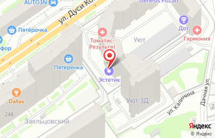 Компания Эстетик на улице Дуси Ковальчук на карте