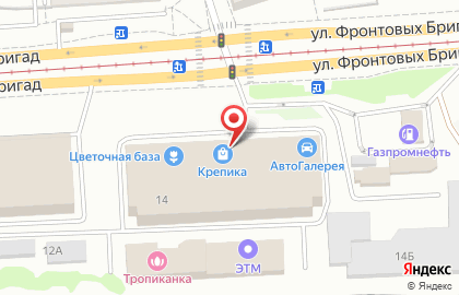 Магазин Автошины и диски мира в Орджоникидзевском районе на карте
