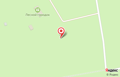 Детский оздоровительный лагерь Лесной городок на карте