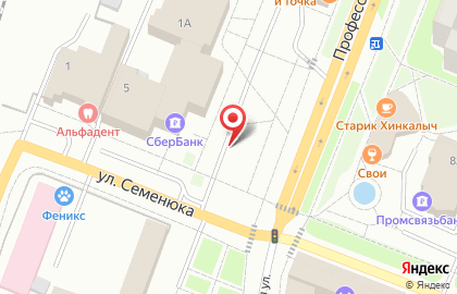 ООО Исток на Профессиональной улице на карте