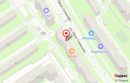 Магазин зоотоваров и цветов на проспекте Ветеранов на карте