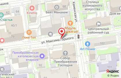 Достоевский на улице Максима Горького на карте