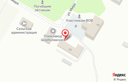 Магазин Центральный на улице Мира на карте