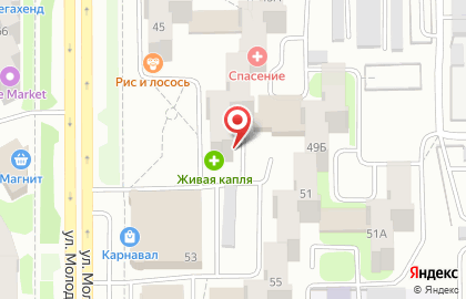Аптека Живая капля в Челябинске на карте