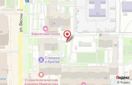Напильник на улице Весны на карте