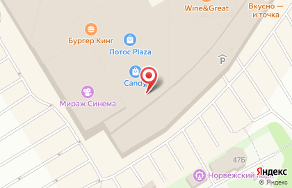 Кофейня Doppio на Лесном проспекте на карте